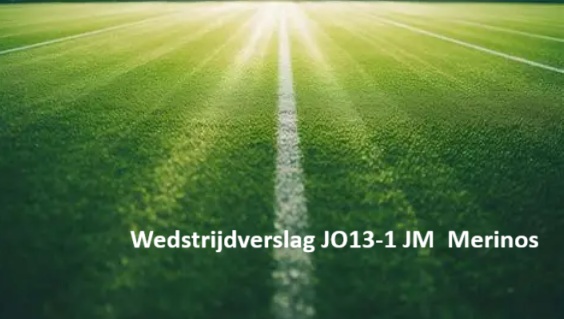 DVSA JO 13-!1 Merino's